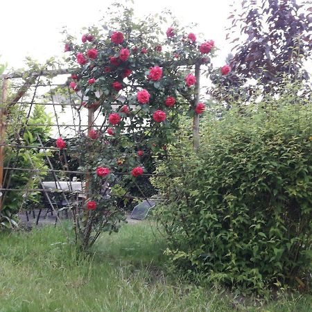 Appartamento Gartenblick Graal-Mueritz Esterno foto