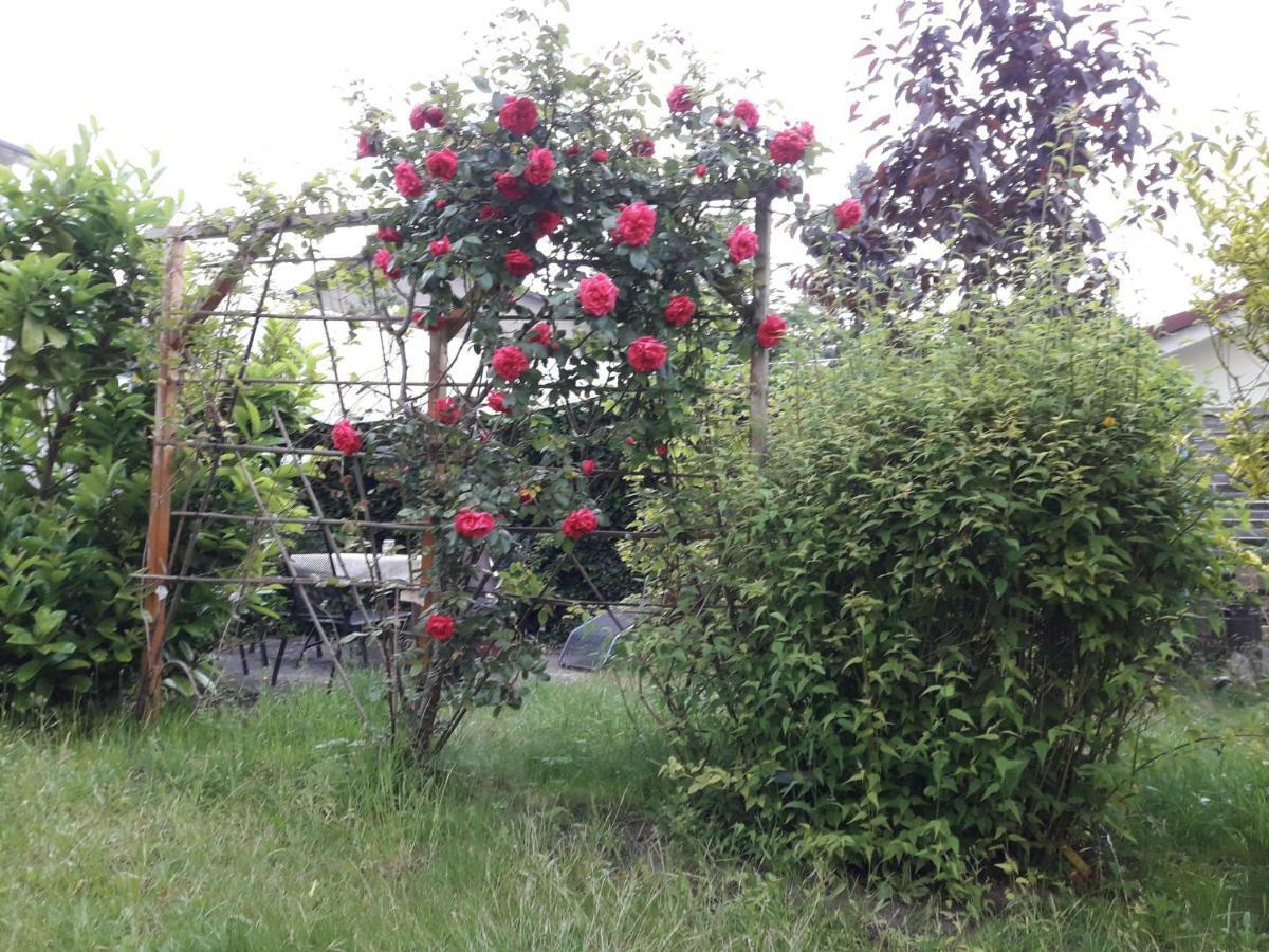 Appartamento Gartenblick Graal-Mueritz Esterno foto
